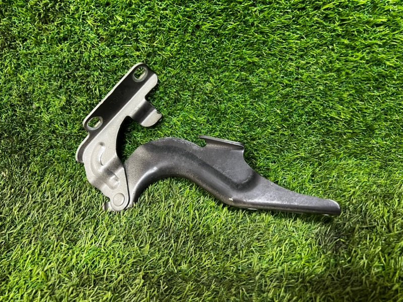 Петля капота NISSAN TEANA 2009 J32