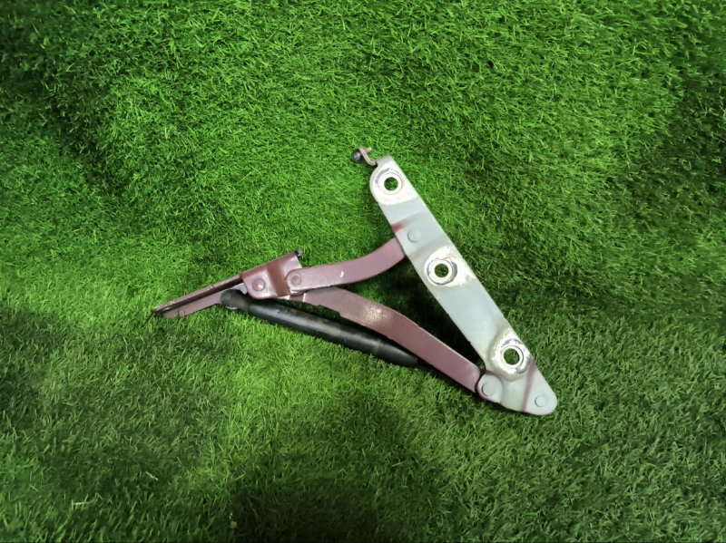 Петля крышки багажника NISSAN TEANA 2008 J32