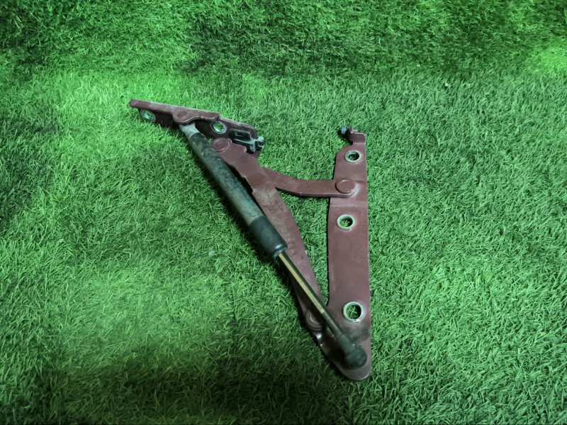 Петля крышки багажника NISSAN TEANA 2008 J32