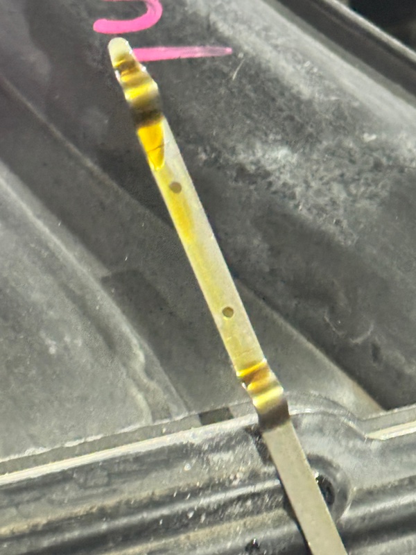 Двигатель NISSAN X-TRAIL 2010 NT31