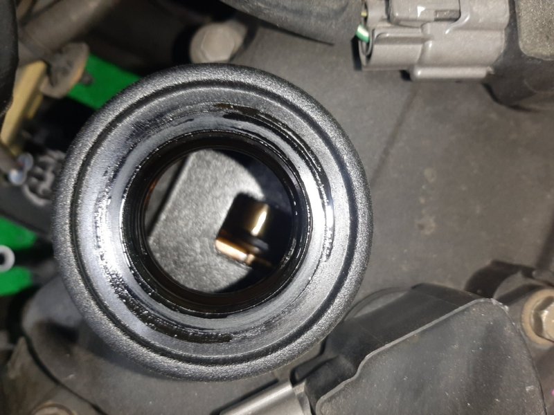 Двигатель NISSAN Serena TNC24