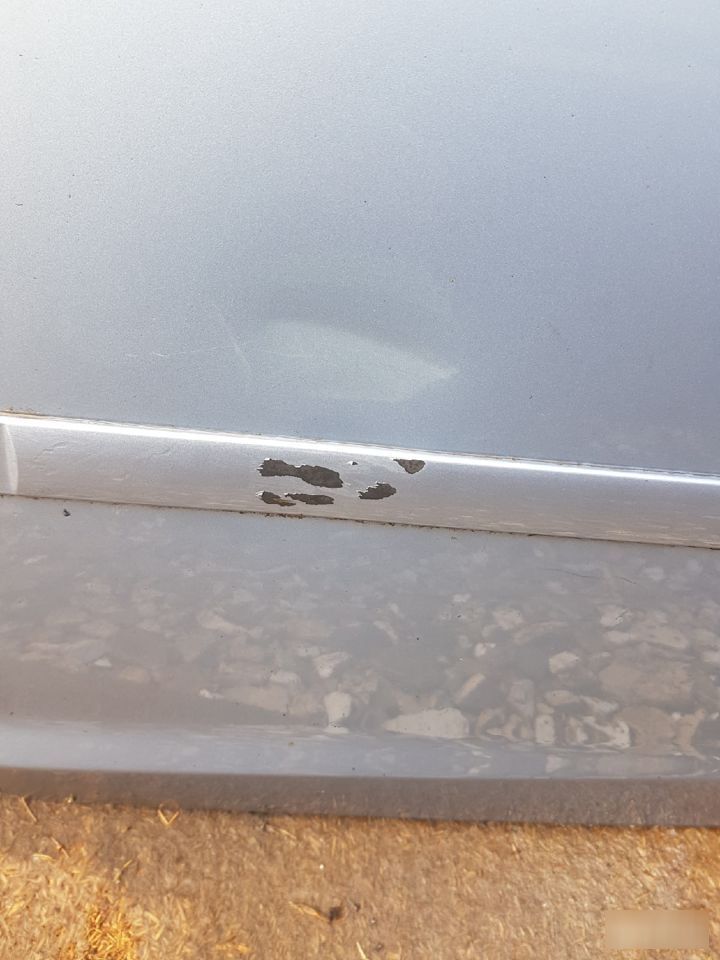 Дверь Ford Focus 2