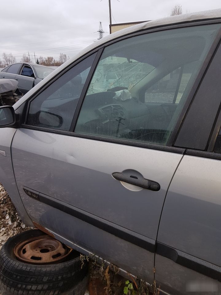 Дверь Renault Scenic 2