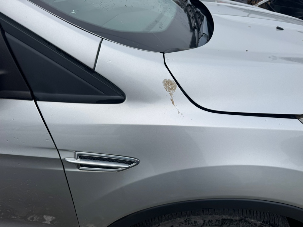 Крыло Ford KUGA 2013 2