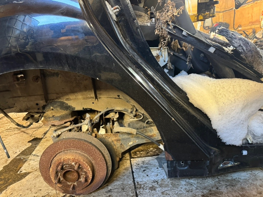 Крыло Ford Focus 2013 3