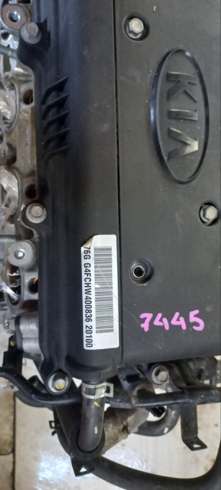 Двигатель Kia Rio 3 2017 седан