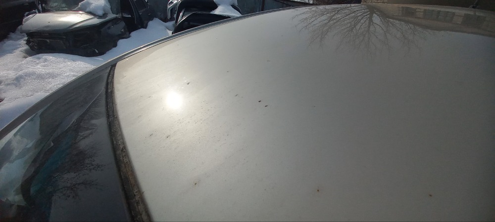 Крыша со стойками Mitsubishi Lancer 2008 X