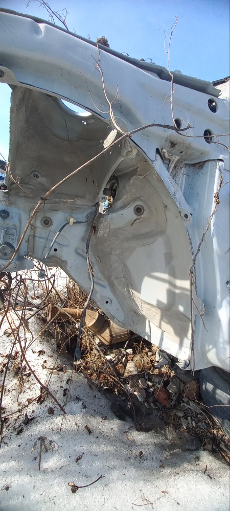 Четверть кузова Renault Megane 2 2008 BM, F4R