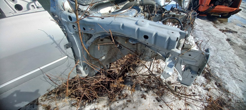 Четверть кузова Renault Megane 2 2008 BM, F4R