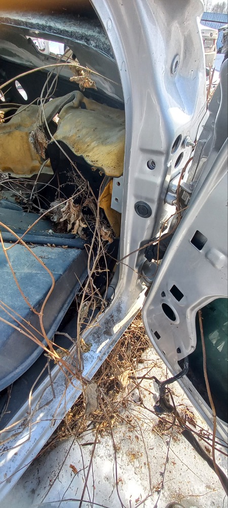 Четверть кузова Renault Megane 2 2008 BM, F4R