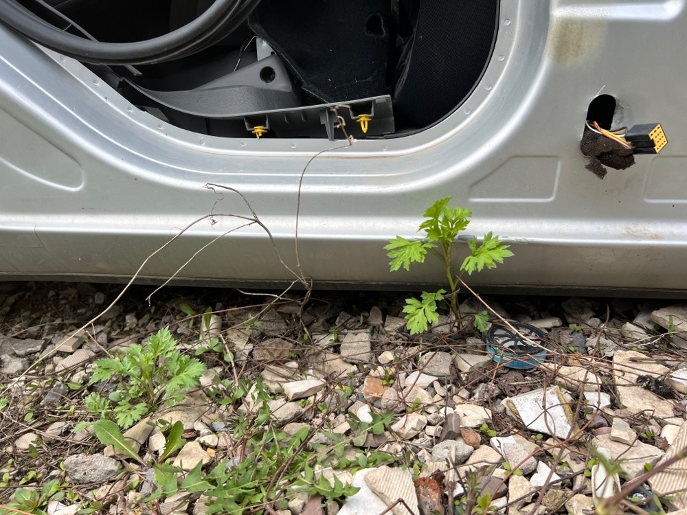 Пороги Ford Focus 2 2011 2