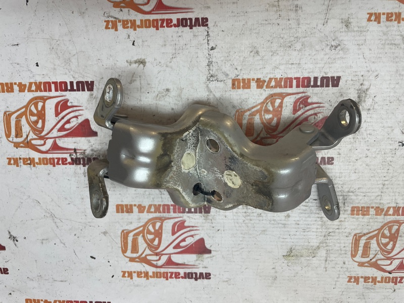 Петля двери Opel Antara 2008 С105