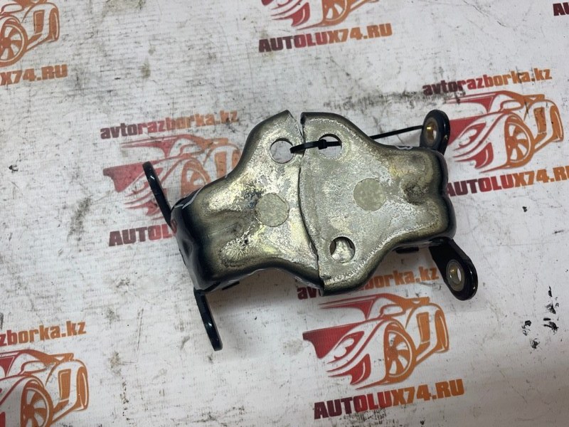 Петля двери Opel Antara 2009 L07