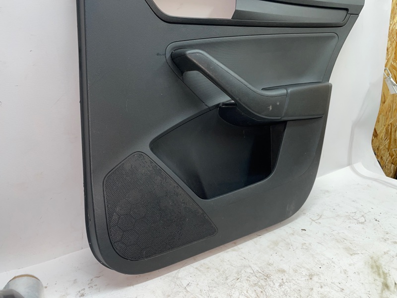Обшивка двери SKODA Rapid 2019 NH3