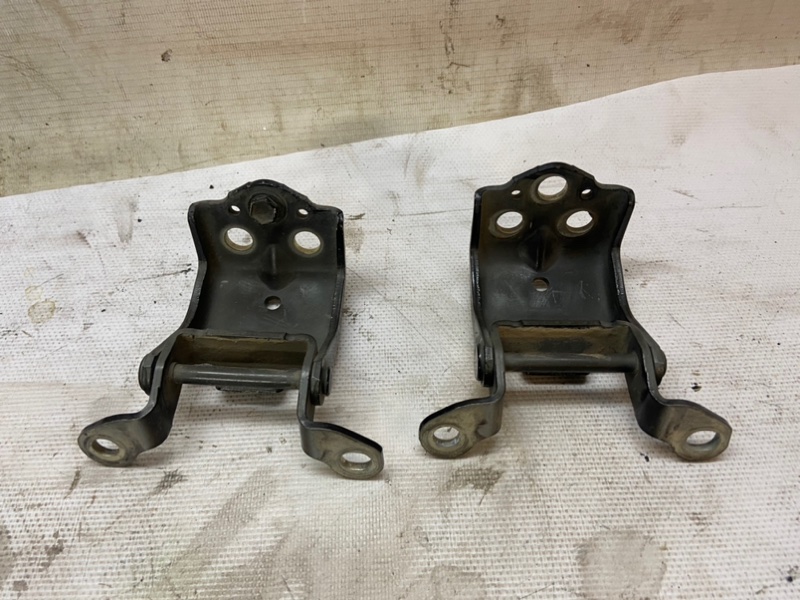 Петли багажника Toyota Land Cruiser 200 2008 Внедорожник