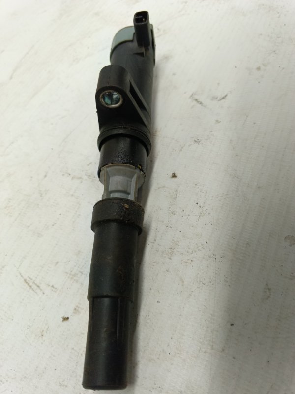 Катушка зажигания Renault Laguna 2008