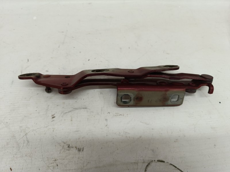 Петли багажника Fiat Linea 2008