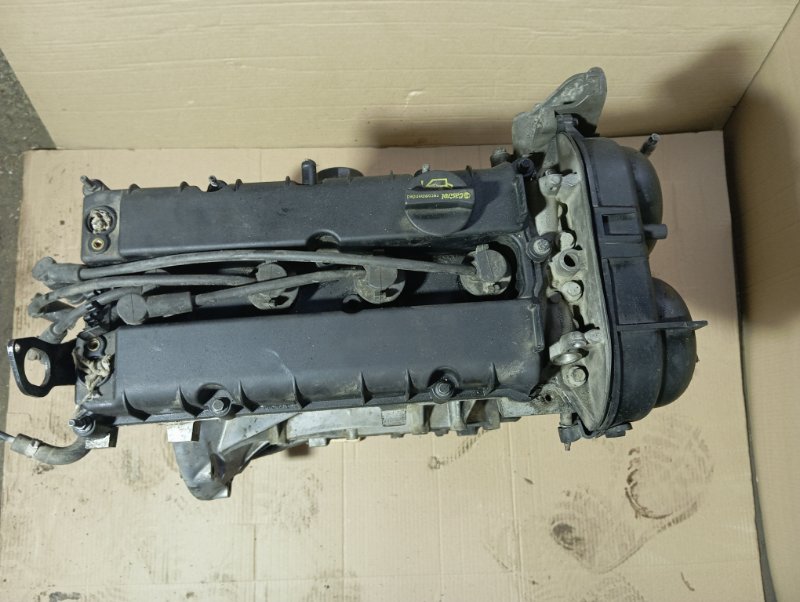 Двигатель Ford Focus 2012 CB8
