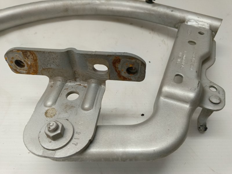 Петля багажника Ford Focus 2012 CB8