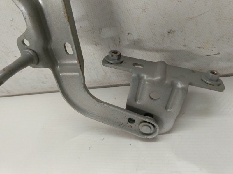 Петля багажника Ford Focus 2012 CB8