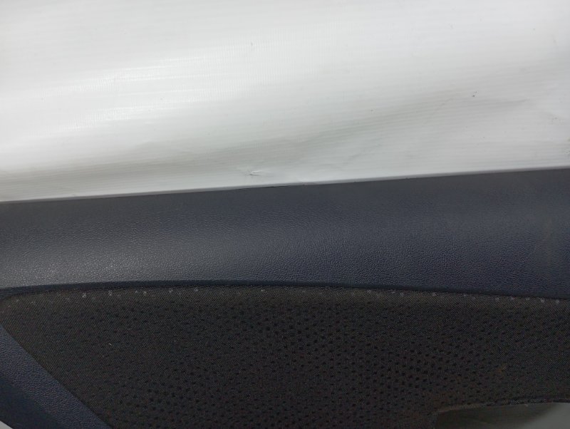 Обшивка двери Nissan Almera 2018 G15