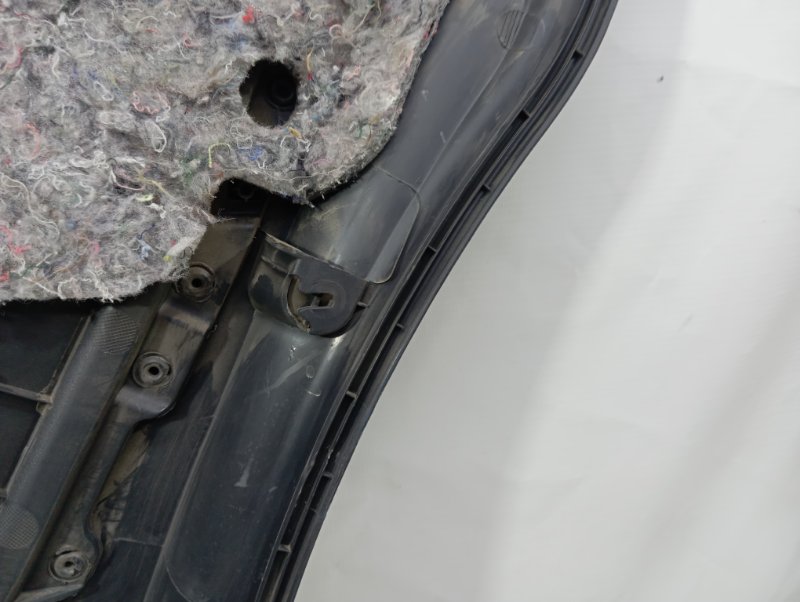 Обшивка двери Nissan Almera 2018 G15