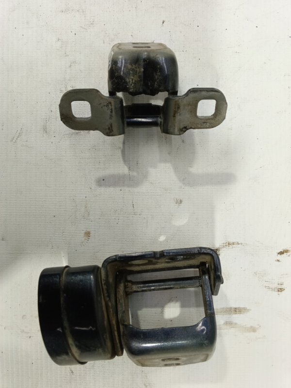 Петля двери Renault Megane 2006