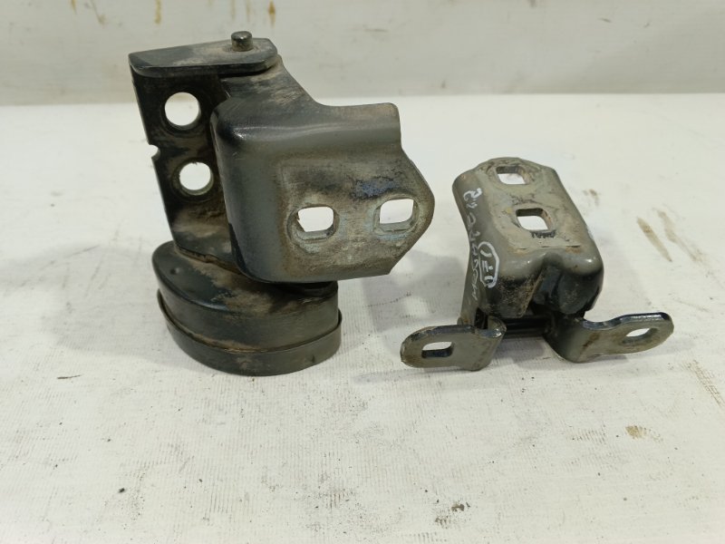 Петля двери Renault Megane 2006