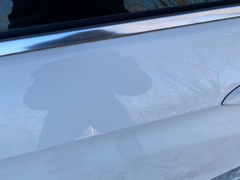 Дверь Mercedes-Benz E-Class 2014 W212