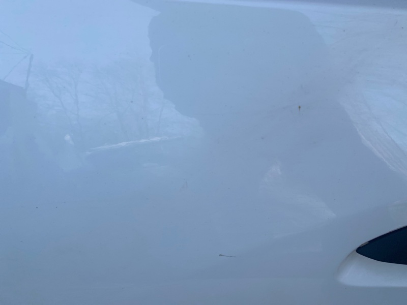 Дверь Renault Logan 2018 L8