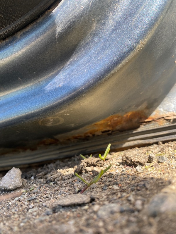 Дверь Citroen C3 2006