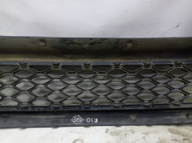 Решетка в бампер Kia Rio 2010
