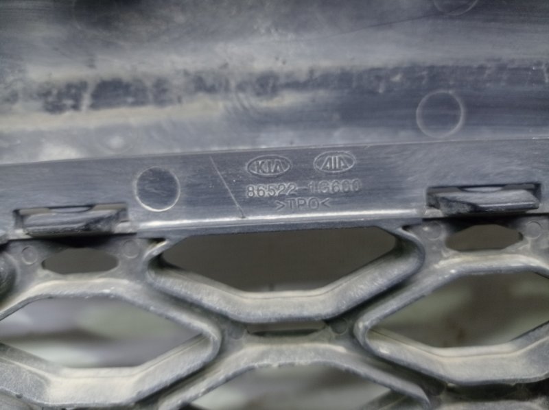 Решетка в бампер Kia Rio 2010