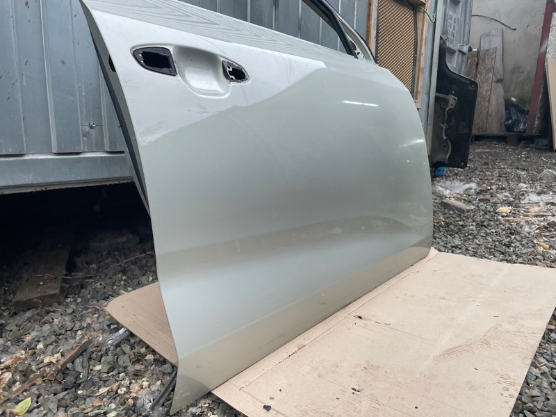 Дверь Kia Rio 2019 FB