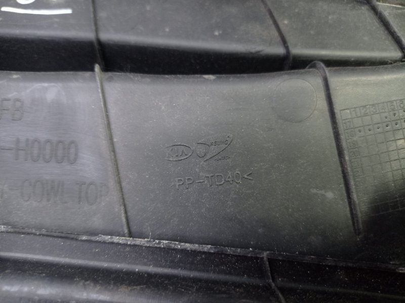 Жабо Kia Rio 2019 FB