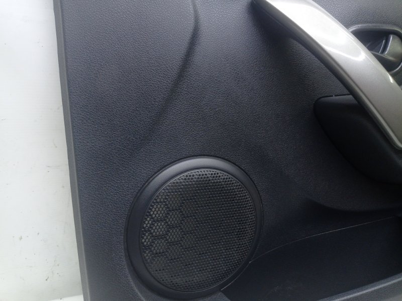 Обшивка двери Renault Logan 2020 L8