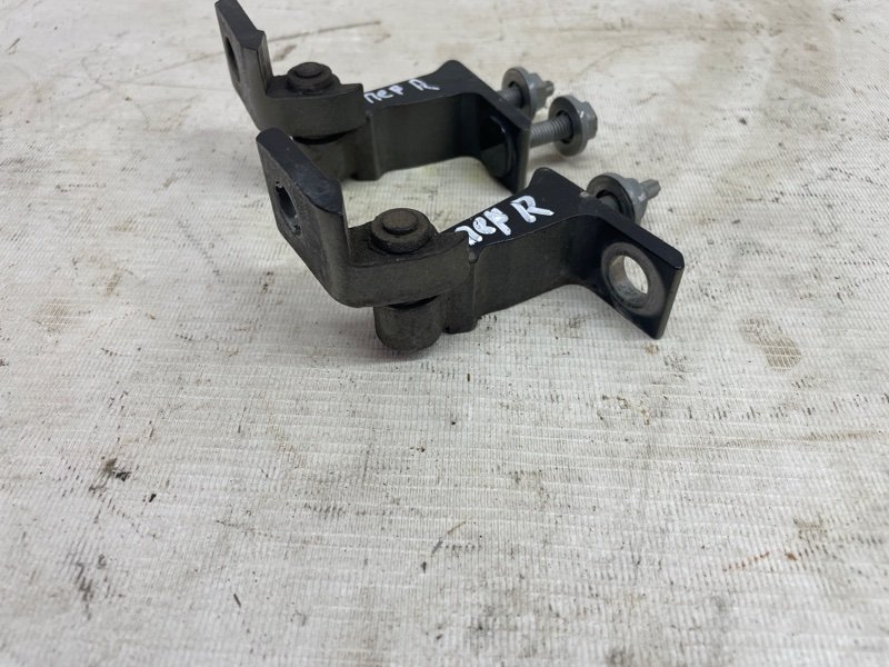 Петля двери Audi Q8 2021