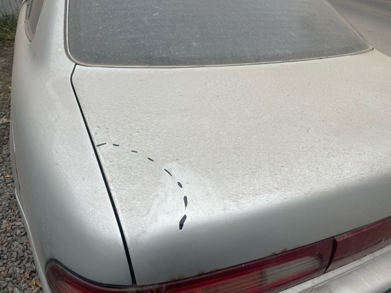 Крышка багажника TOYOTA Corolla Levin 1993