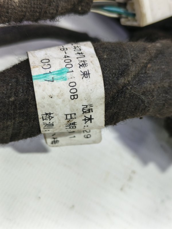 Проводка моторная Lifan X50 2017