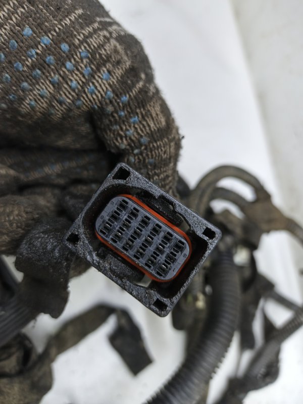 Проводка моторная Chevrolet Cobalt 2013