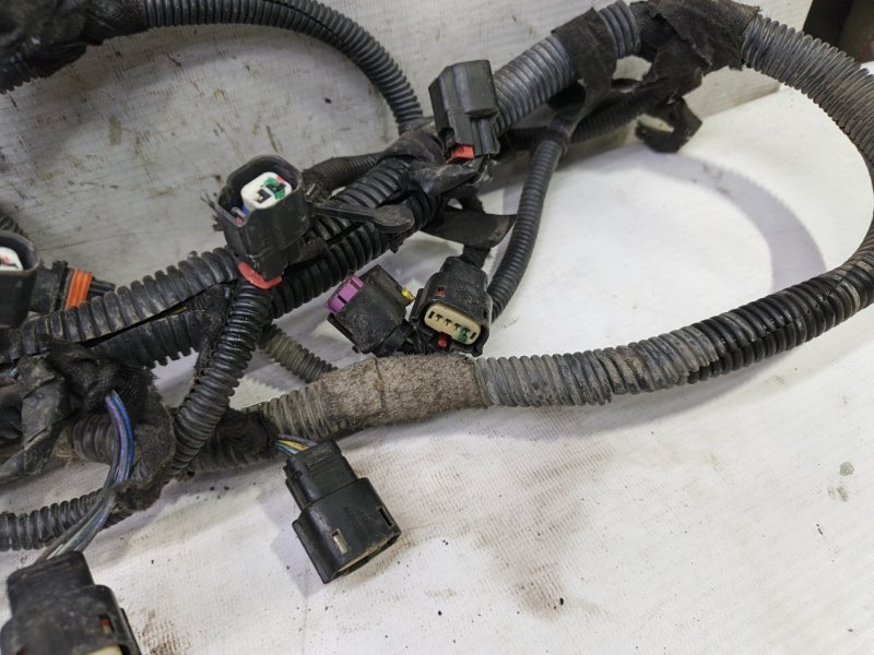 Проводка моторная Chevrolet Cobalt 2013