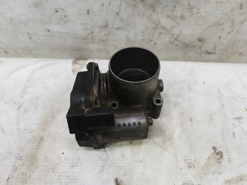 Дроссельная заслонка Skoda Fabia 2008