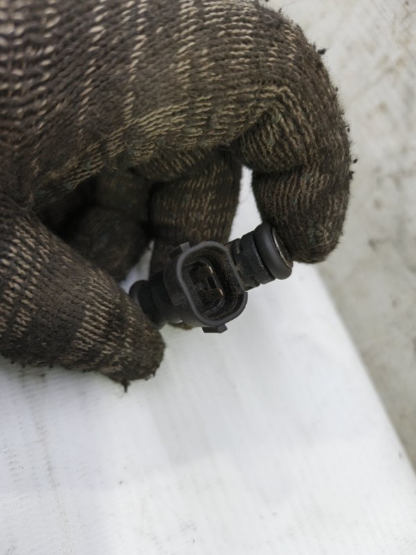 Форсунка Skoda Fabia 2008