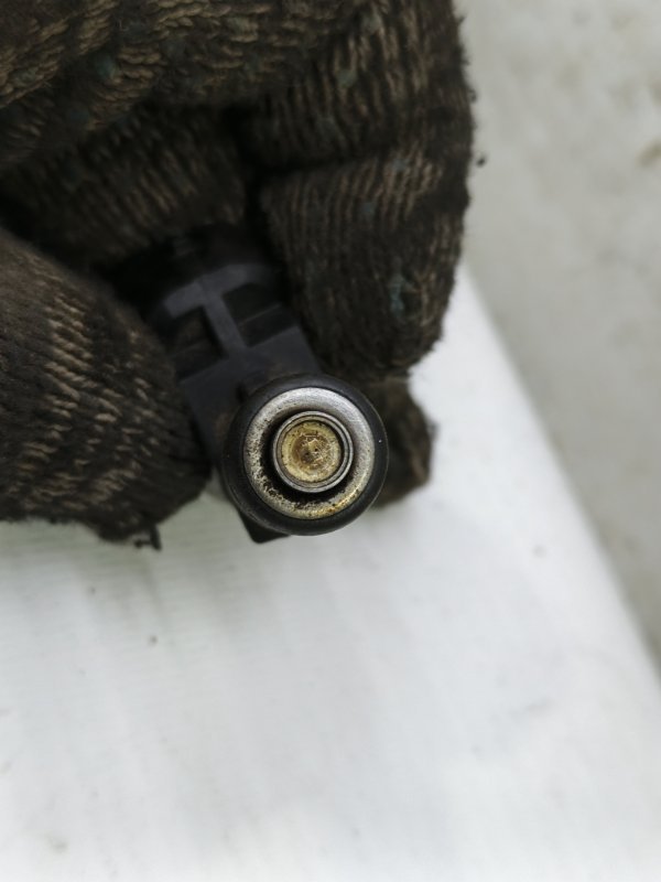 Форсунка Skoda Fabia 2008