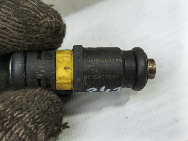 Форсунка Skoda Fabia 2008