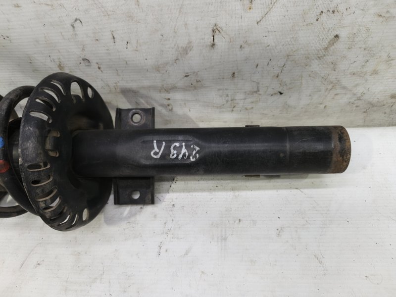 Амортизатор Skoda Fabia 2008