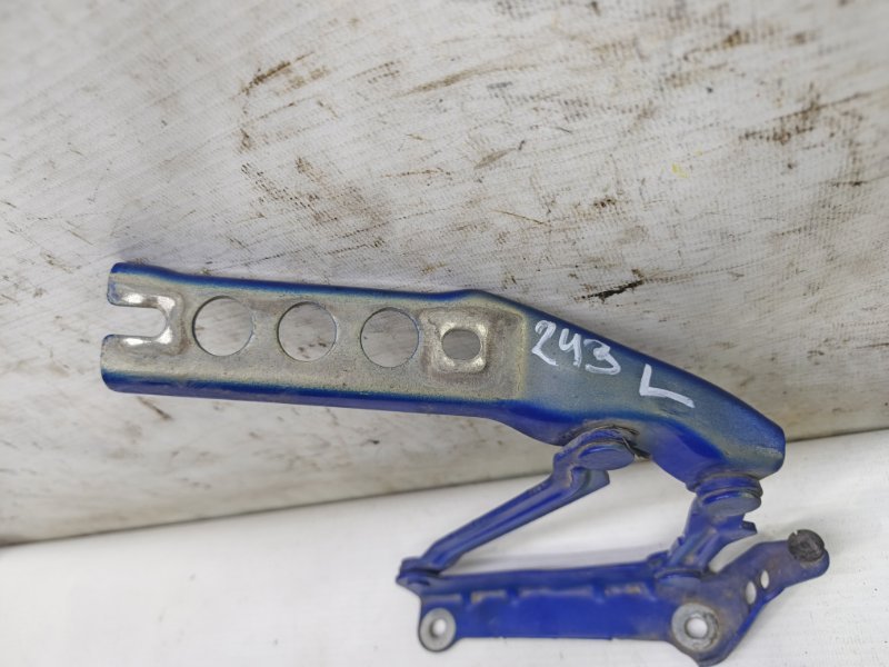 Петля капота Skoda Fabia 2008