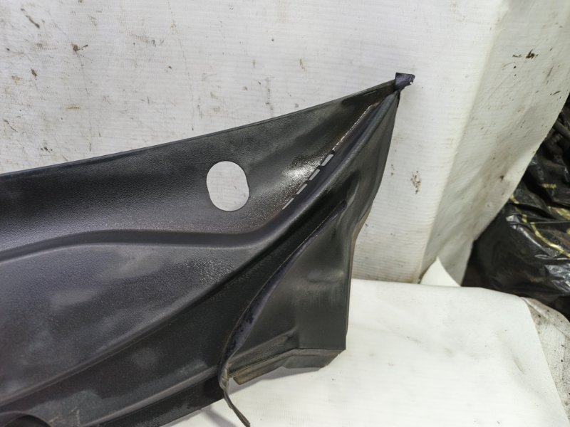 Жабо Skoda Fabia 2008