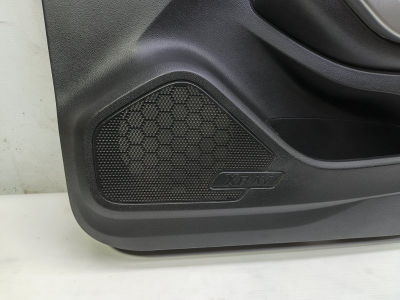 Обшивка двери Lada Xray 2021