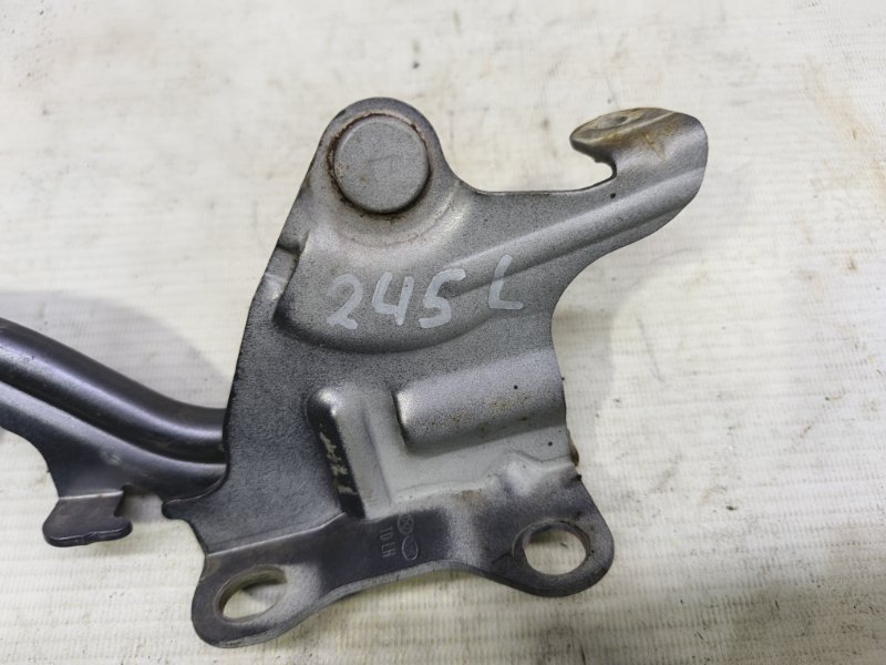 Петля капота Kia Cerato 2010 TD